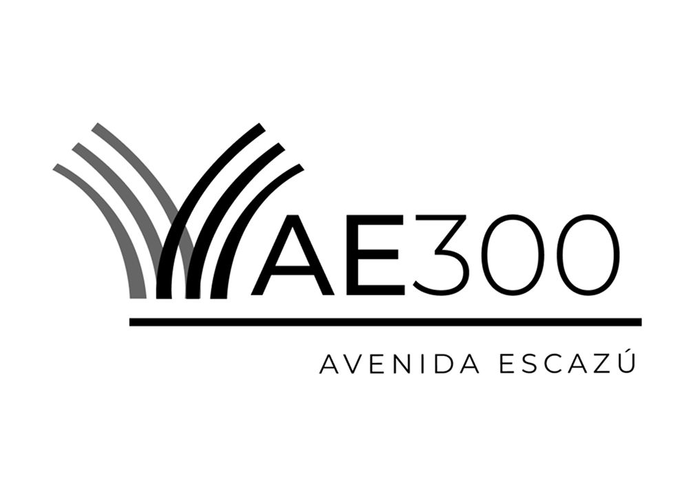 AE300 Logo